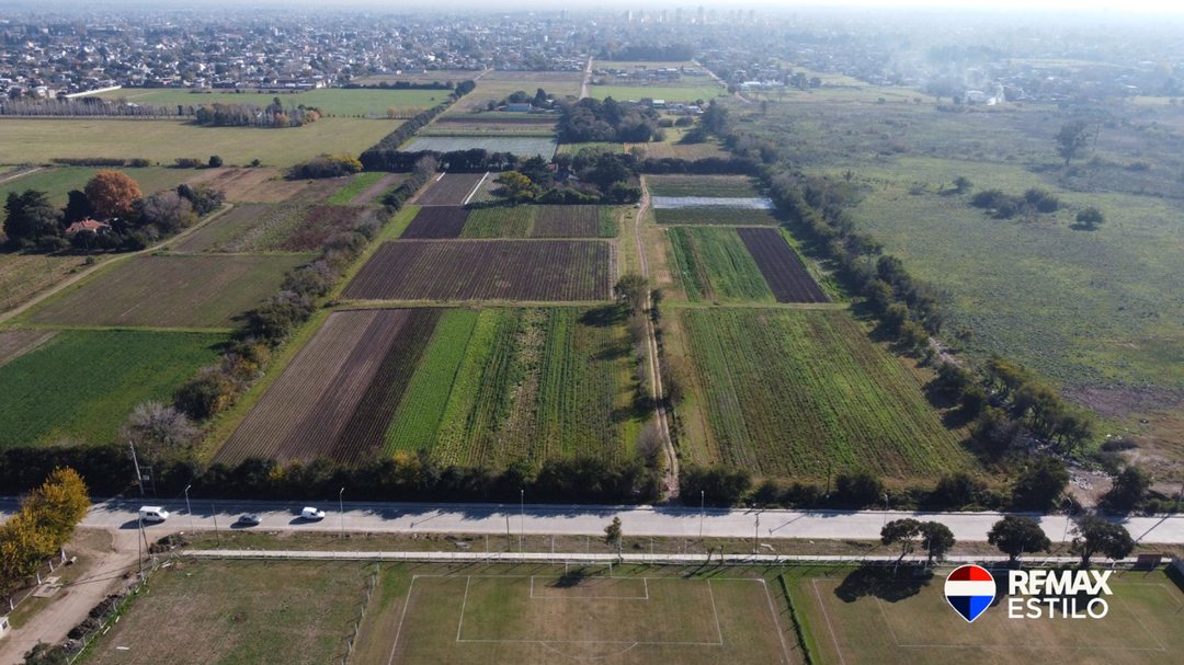 Campo Agrícolas 6 Hectáreas