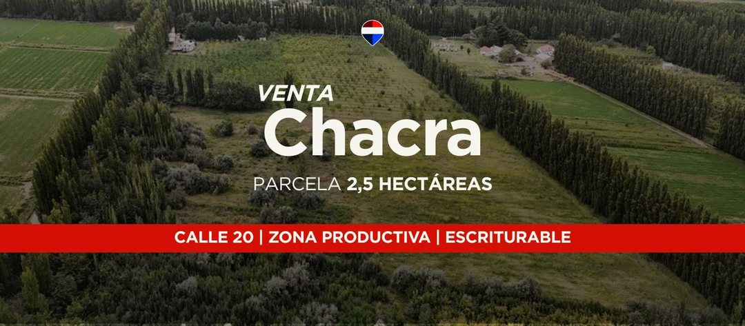 VENTA CHACRA 2,5HAS, CALLE 20 CENTENARIO - NEUQUÉN