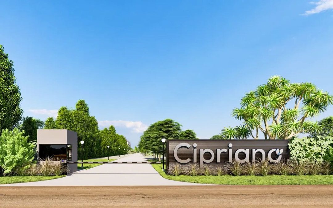 LOTE VENTA ALVEAR B PRIVADO CIPRIANO  FINANCIACION