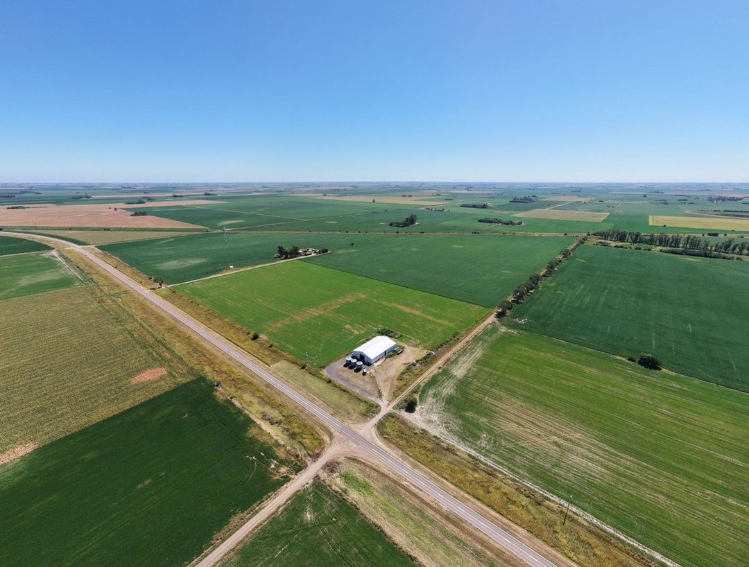 VENTA CAMPO AGRICOLA 28 HA FIRMAT