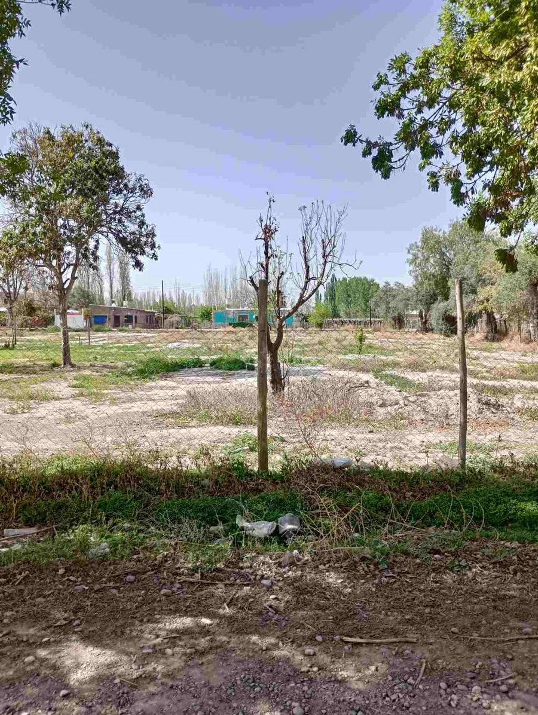 VENTA LOTE DEPARTAMENTO SAN MARTIN MENDOZA