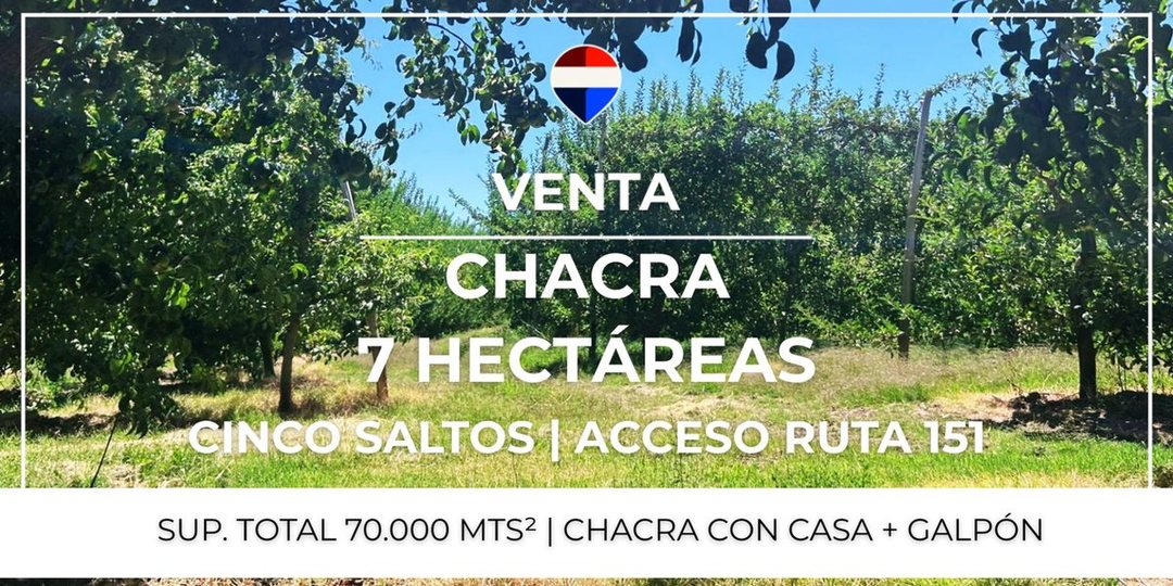 VENTA CHACRA 7 HAS - CINCO SALTOS