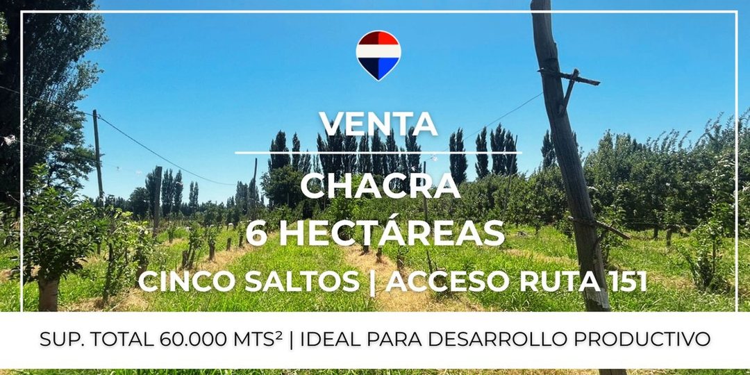 VENTA CHACRA 6 HAS - CINCO SALTOS