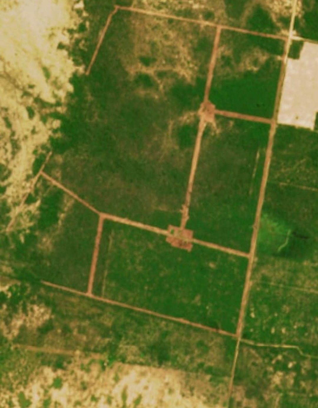 Campo en venta ganadero 401 ha cercano a ruta