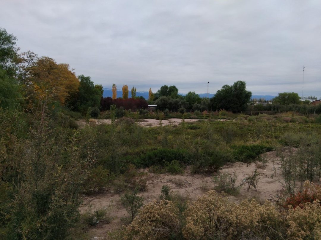 VENTA DE GRAN TERRENO INDUSTRIAL EN CALLE TERRADA