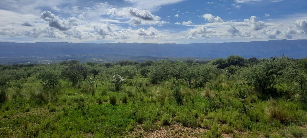 VENTA LOTE EN MINA CLAVERO