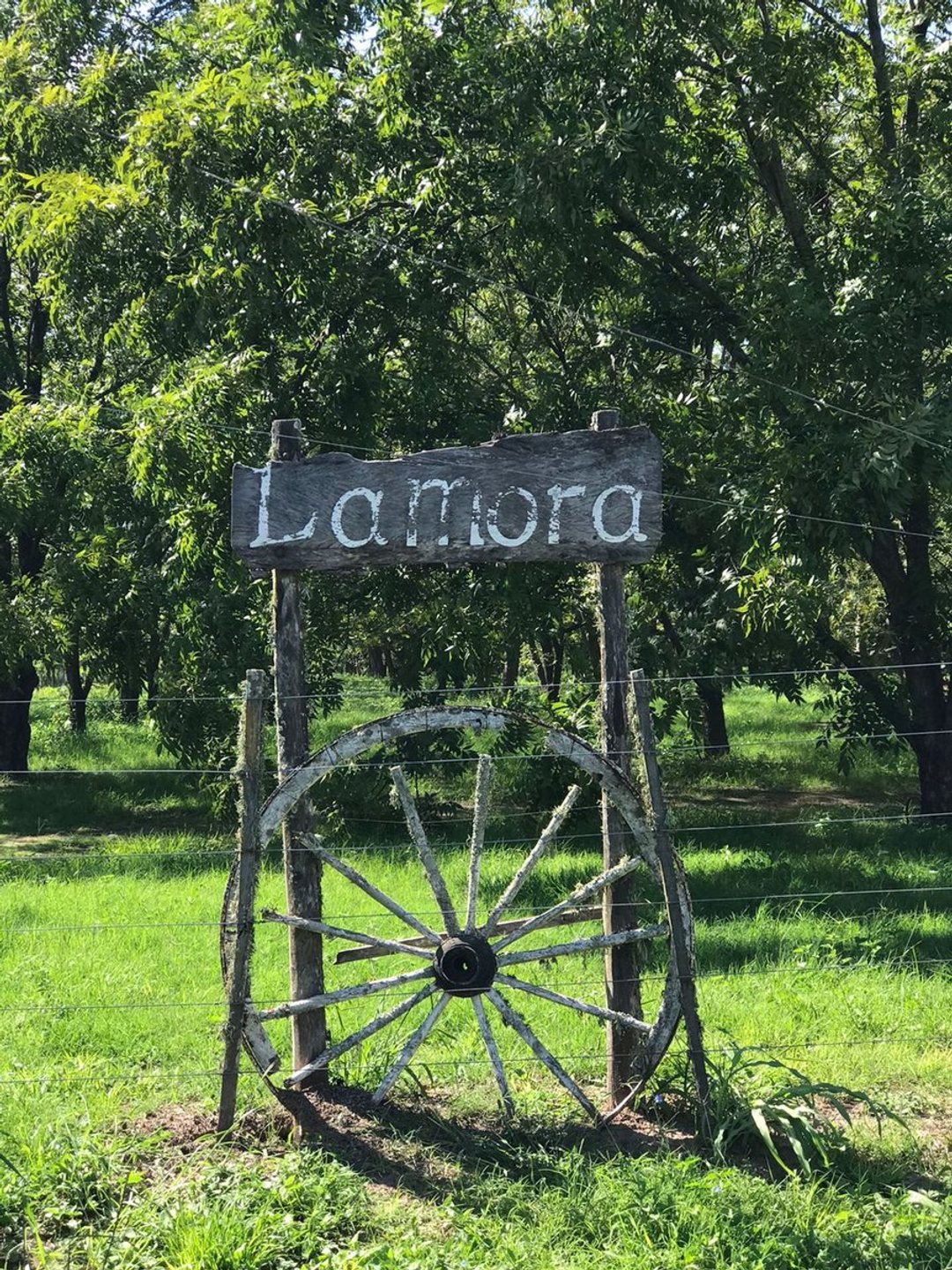 Campo a la venta en Santa Rosa de Calchines
