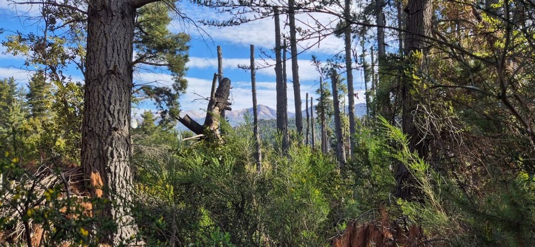 Venta de Lote Av Campanario Peninsula, Bariloche