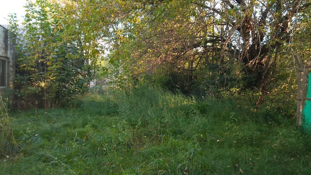 VENTA LOTE 2250 M2  PILAR