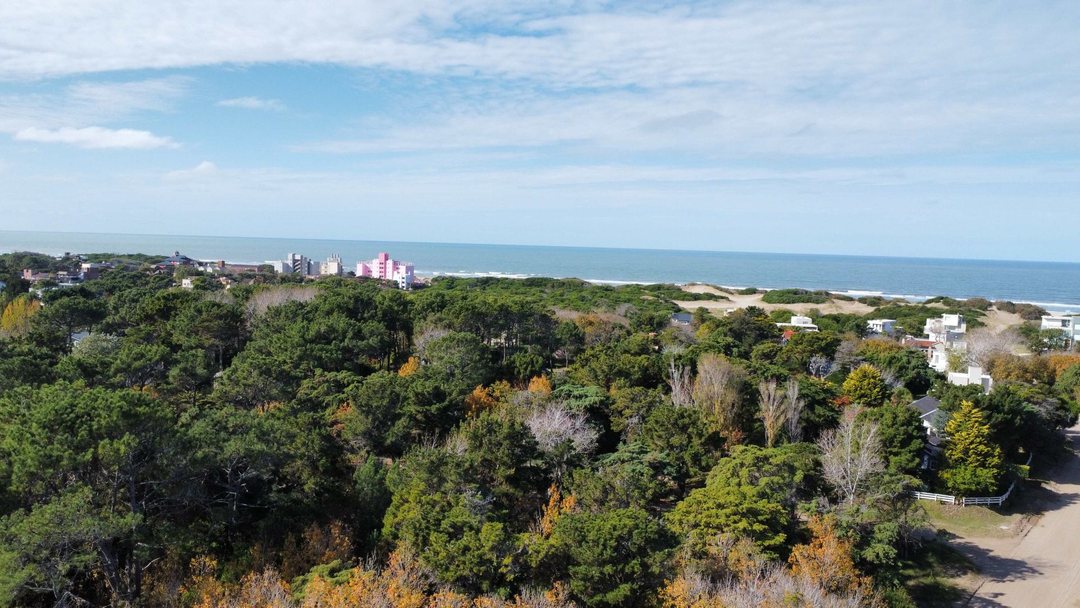 LOTE VENTA EN CARILO SOBRE AVENIDA DIVISADERO