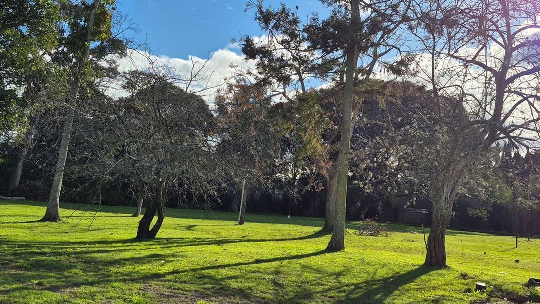 LOTE EN VENTA BARRIO CERRADO LIHUEN ENTRE CAMINOS