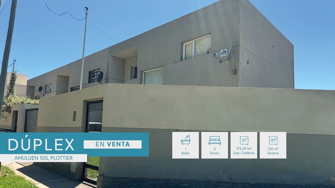 VENTA DÚPLEX 2 DORMITORIOS, AMULUEN 105, PLOTTIER