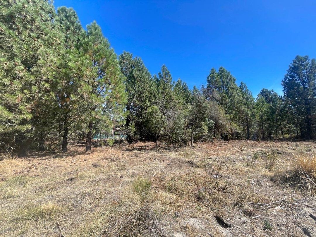 VENTA LOTE 99 SOLARES DEL ESTE