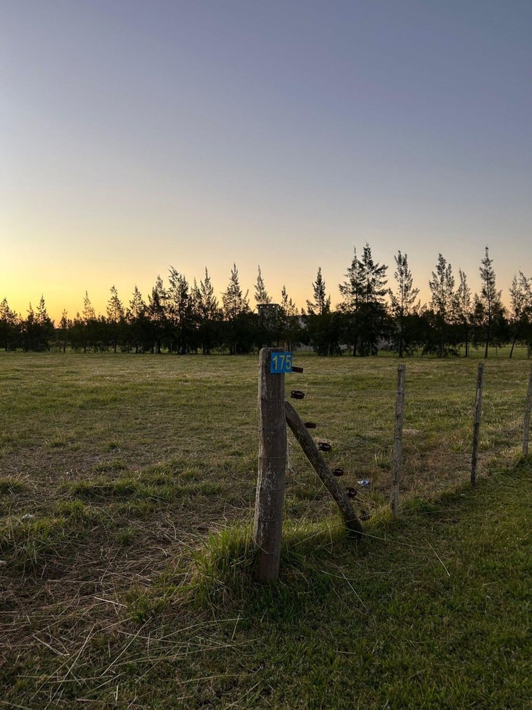VENTA CHACRAS DE ABBOTT  lote 6540 mt