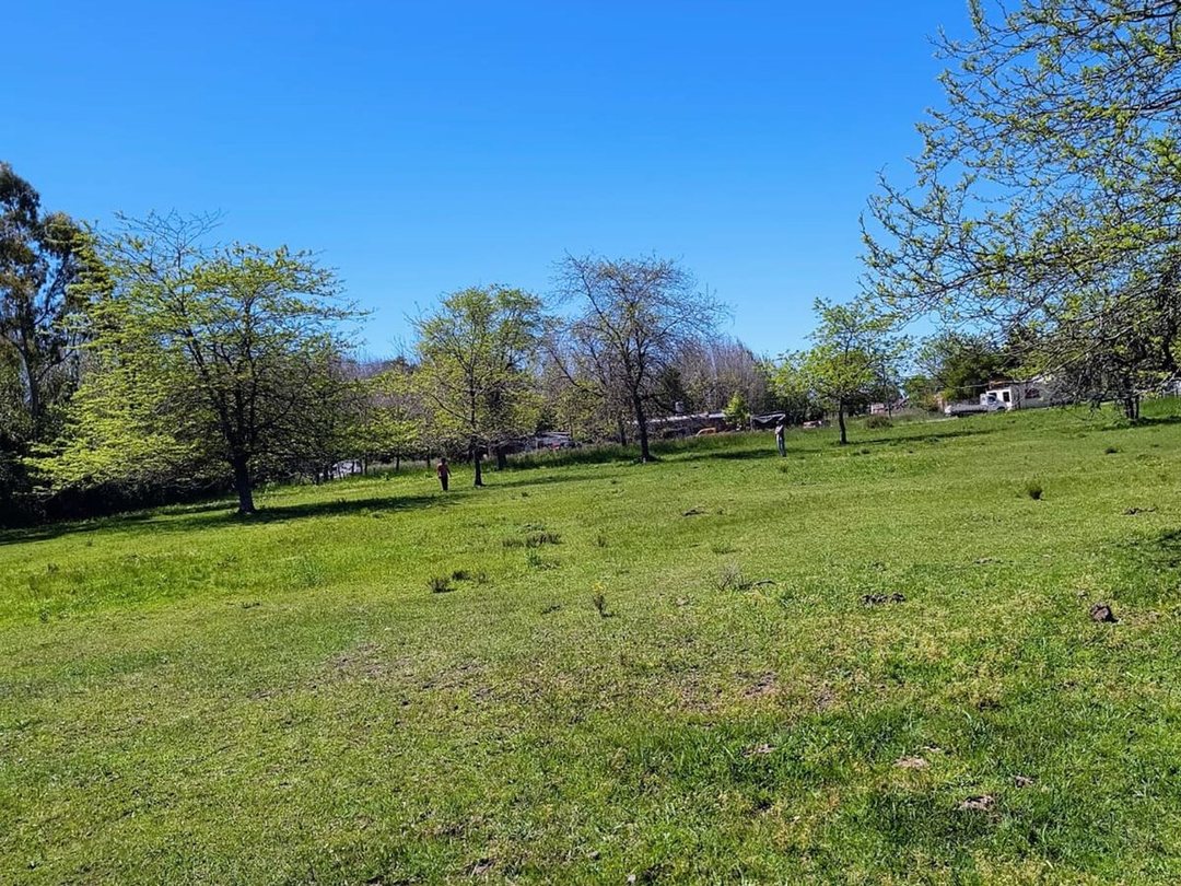 Lote en venta en Magdalena barrio Las Maytas