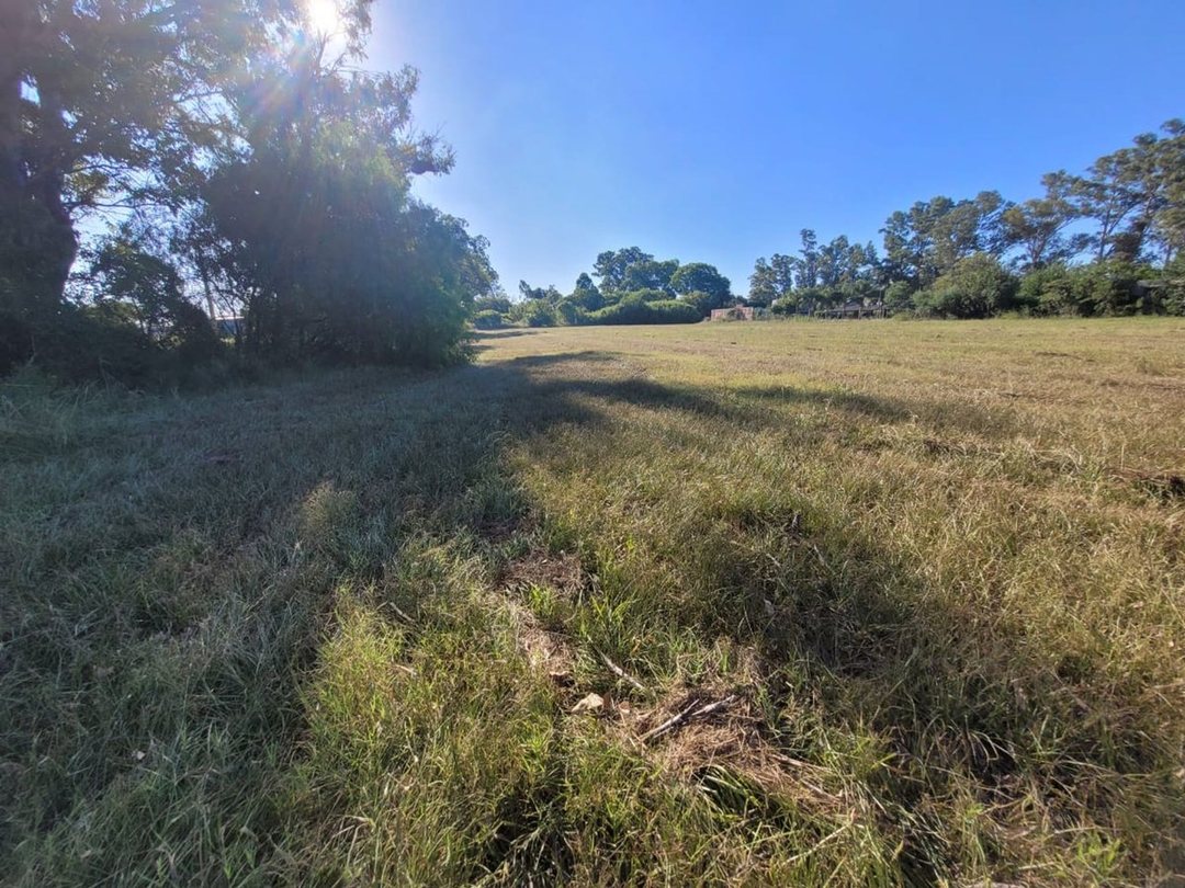 SE VENDE TERRENO EN SAUCE VIEJO-OPORT. PARA LOTEO