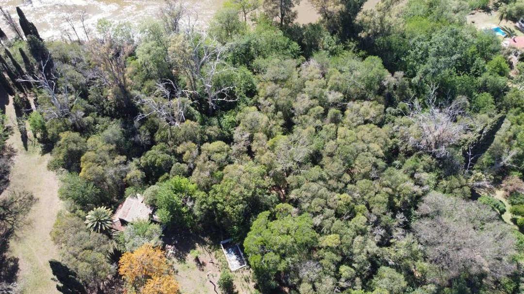 TERRENOS EN VENTA OLIVEROS