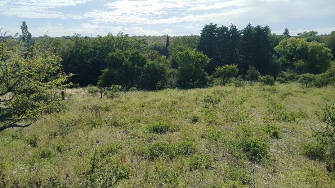 VENTA TERRENO TANTI 50.500m2 OPORTUNIDAD INVERSOR