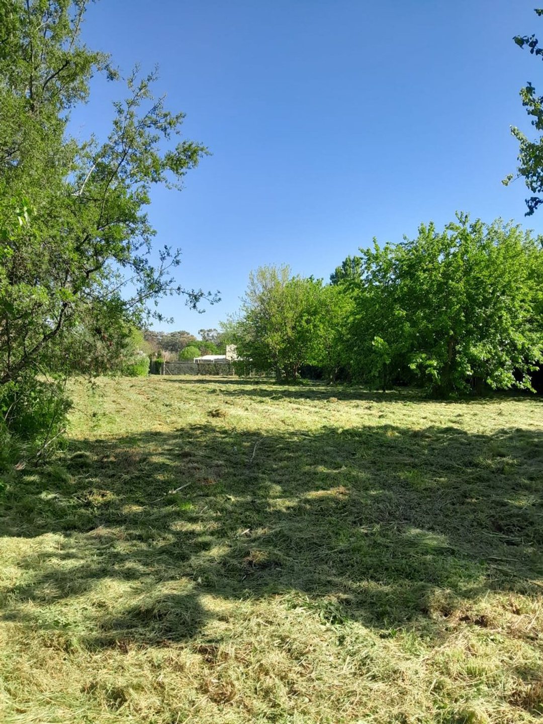 VENTA LOTE VILLA ELISA