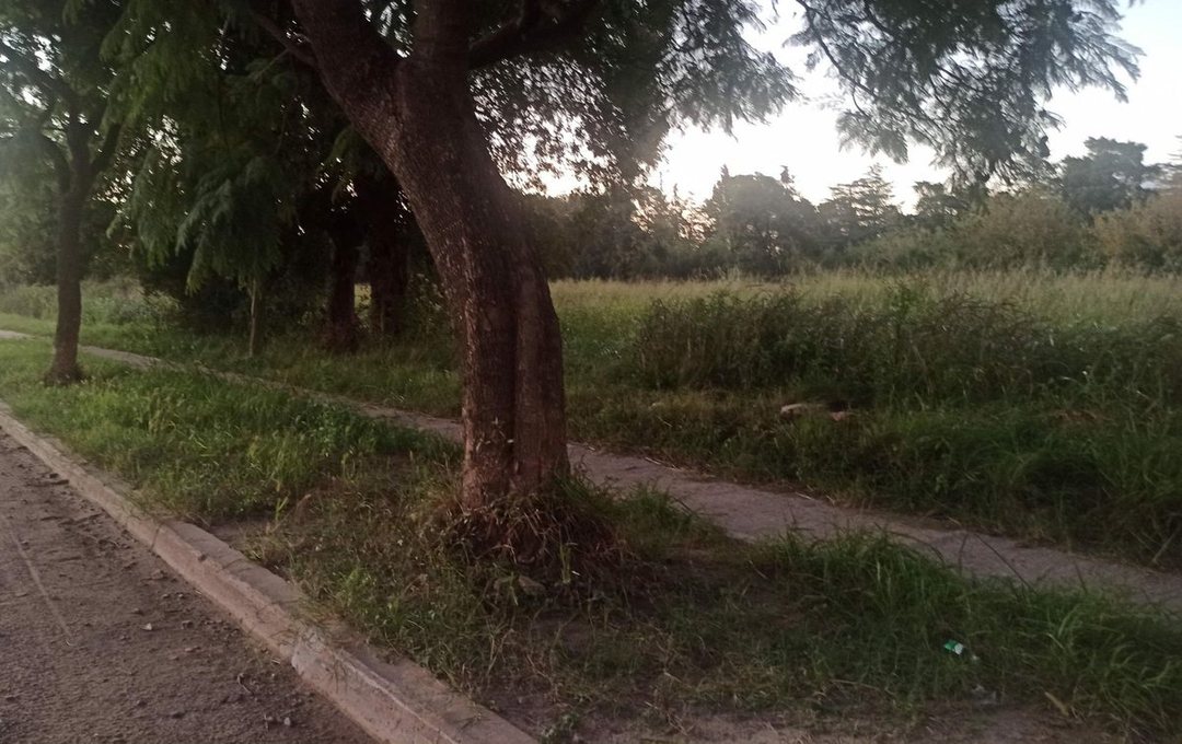 Se Vende Lote en Santo Tome