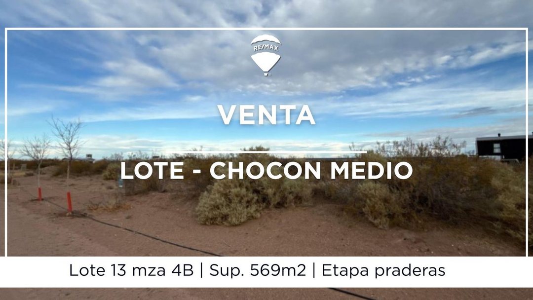 LOTE EN VENTA CHOCON MEDIO