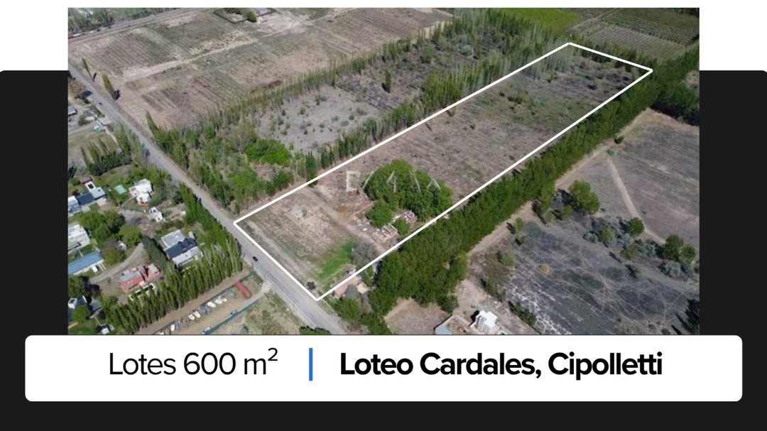 PRE VENTA! Loteo Finca Cardales, Cipolletti
