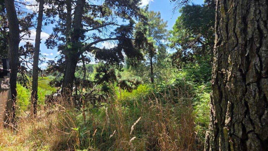 VENTA DE LOTE DE 475M2 EN MAR AZUL