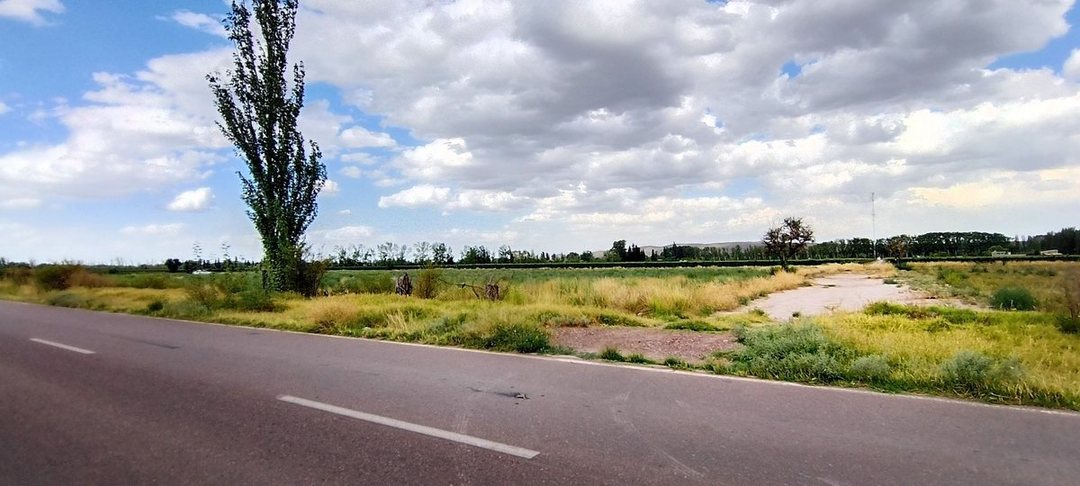 VENTA DE FINCA 5,2ha PERDRIEL, LUJAN DE CUYO