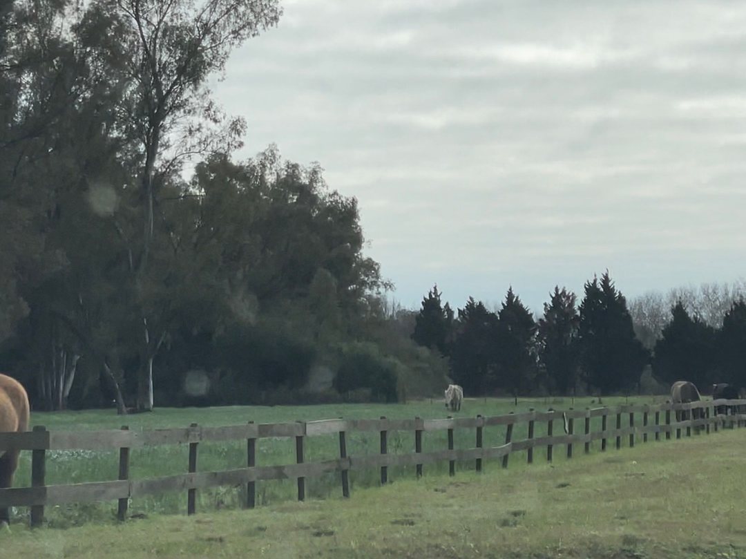 Lote Terreno Chacras de Parana Lima Baradero Zarat