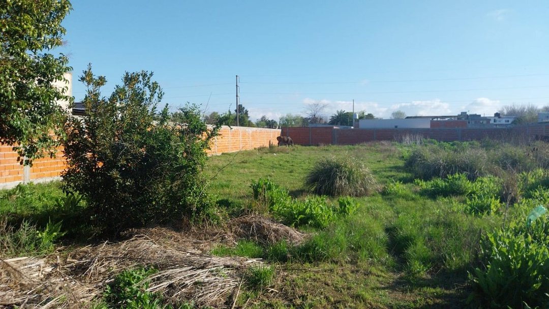 Lote de terreno con servicios en VENTA San Carlos
