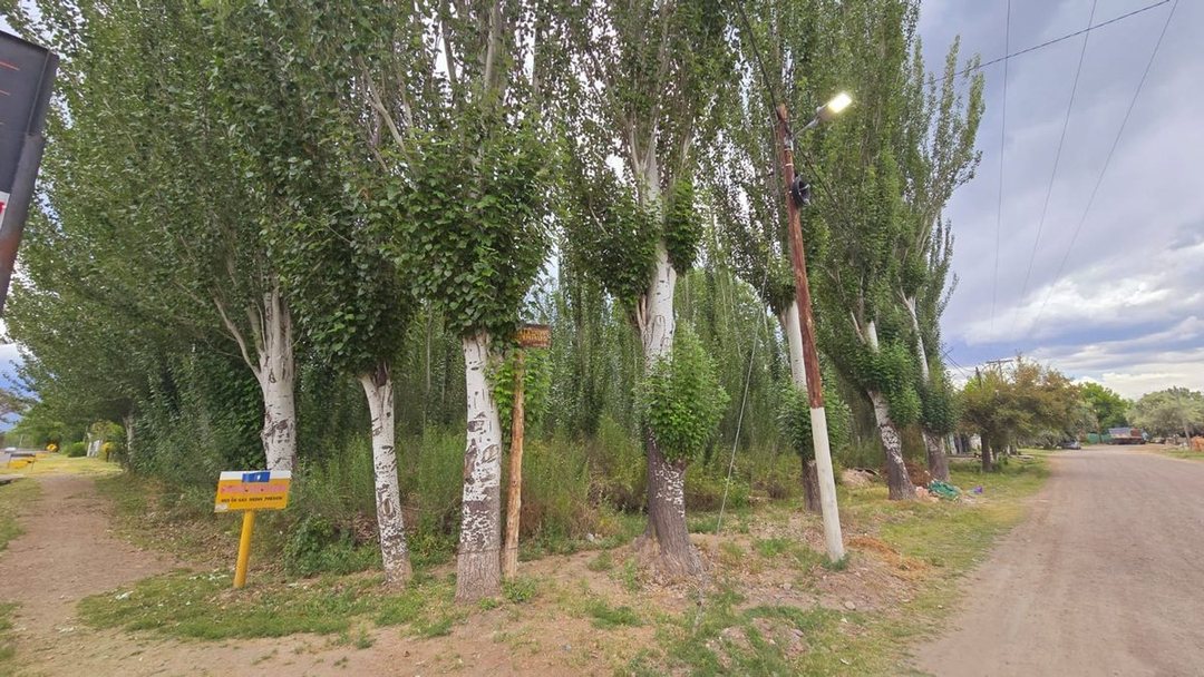 Venta Lote, esquina inmejorable, Colonia las Rosas