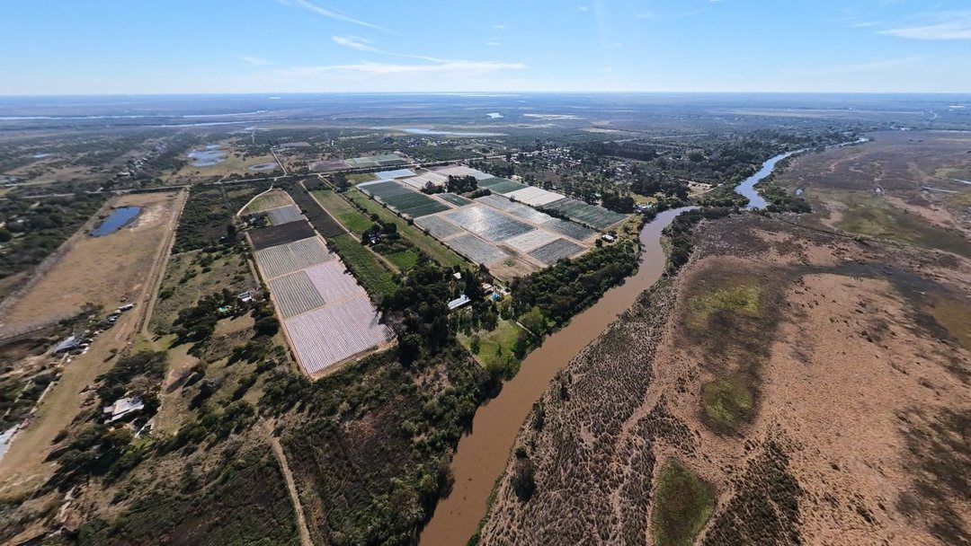 VENTA DE CAMPO CON BAJADA AL RÍO | ARROYO LEYES
