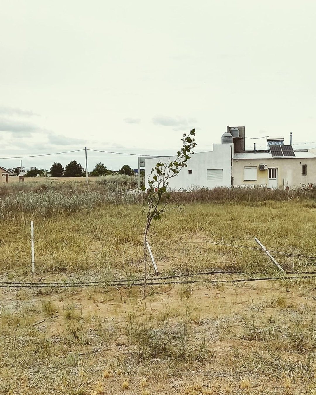 Lote Altos del Este