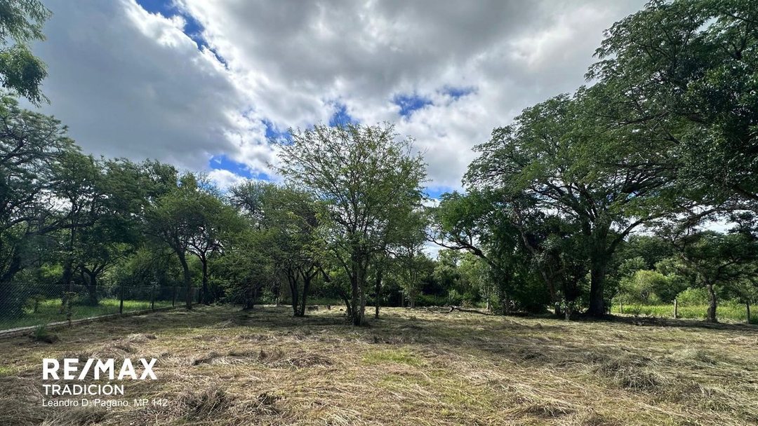 TERRENO EN VENTA - COLONIA BENITEZ