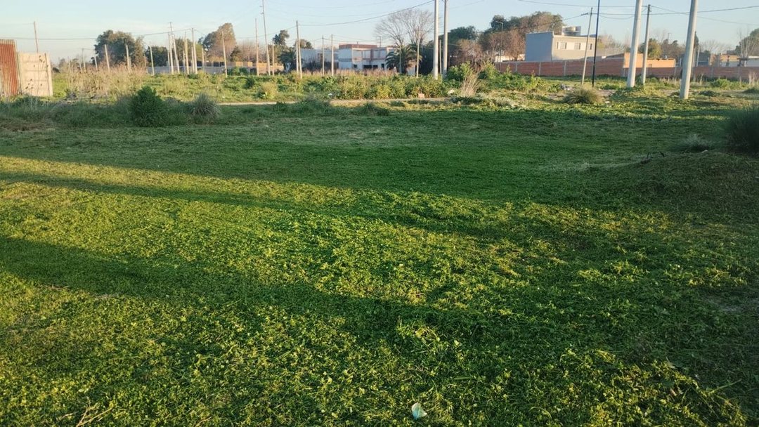 Terreno en venta San Carlos