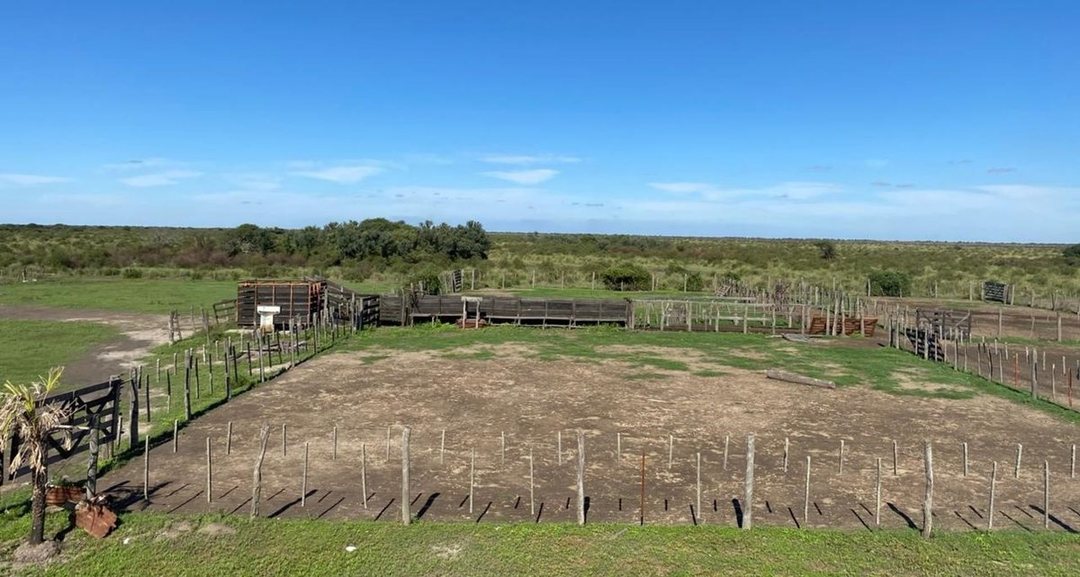 En VENTA campo ganadero en Golondrinas, Santa Fe