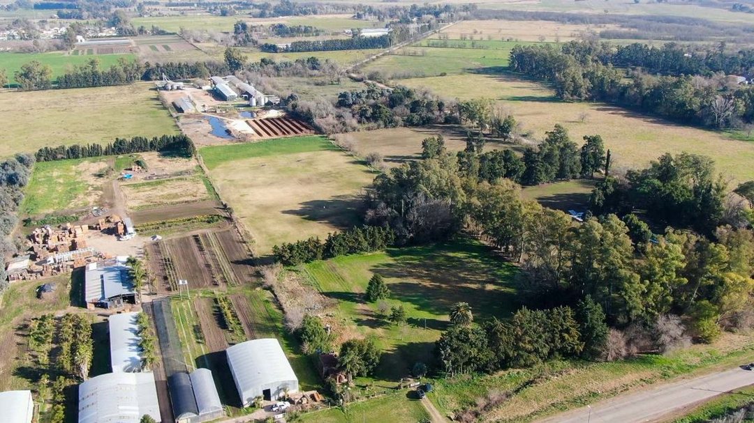 LOTE INDUSTRIAL RODRIGUEZ 3 HECTAREAS