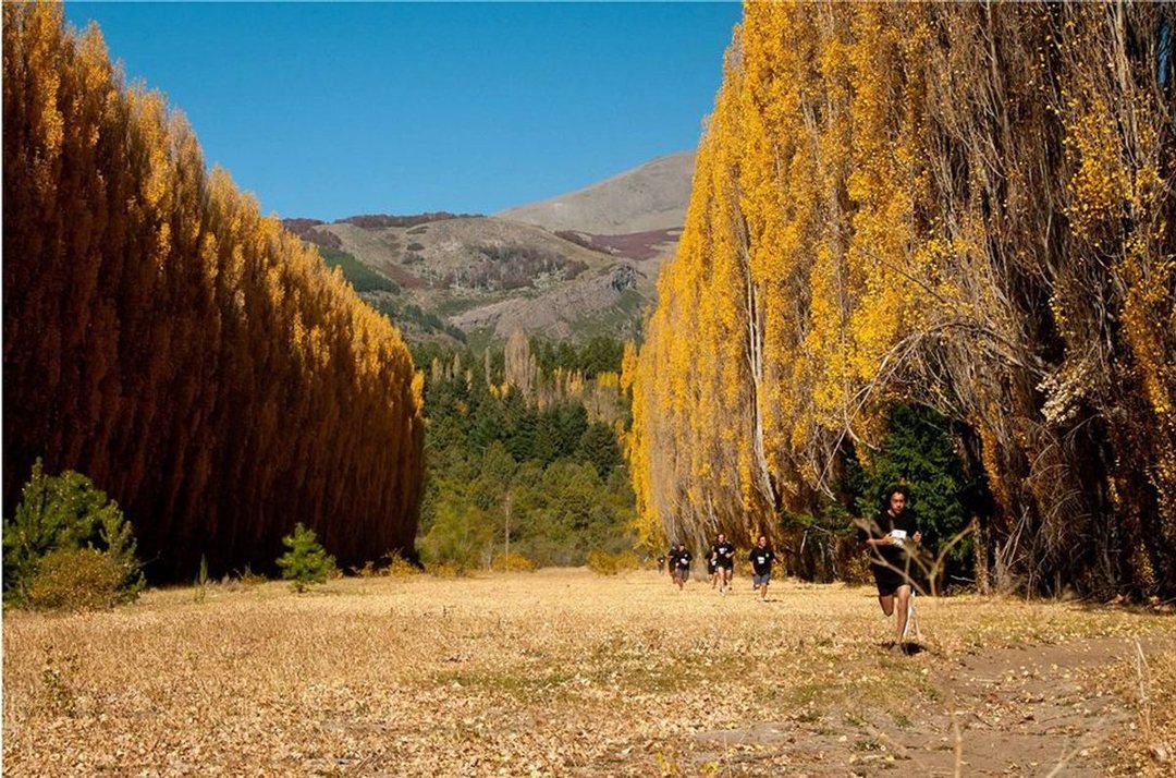 INVERSIÓN BARILOCHE.  LOTE EN CLUB DE CAMPO.