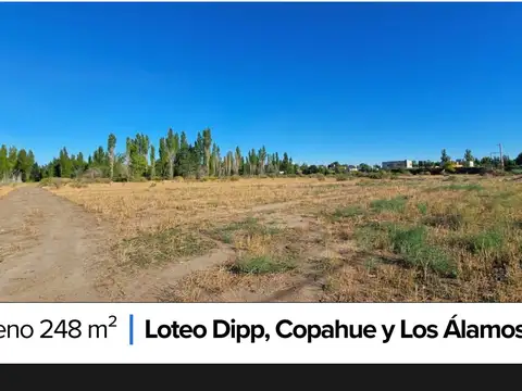 Terreno en Venta en Neuquén, Confluencia
