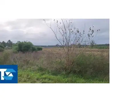 Terreno en Venta en Villa Elisa, Colón