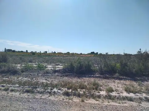 Campo en Venta en Chapanay, San Martín