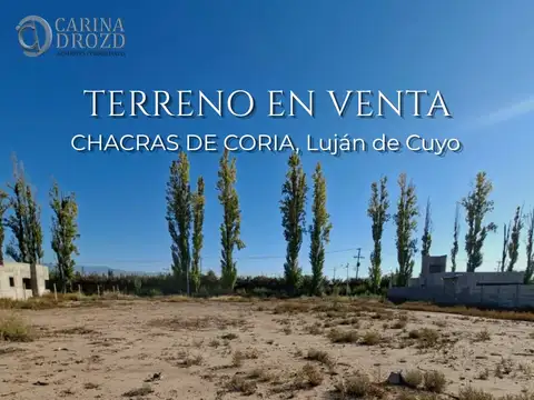 Terreno en Venta en Chacras de Coria, Luján de Cuyo