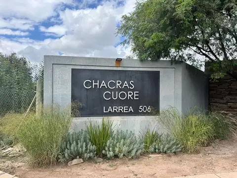 Terreno en Venta en Luján de Cuyo, Mendoza