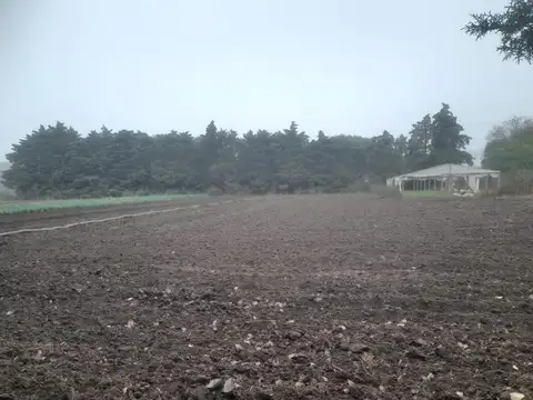 Campo en Venta en Colonia Caroya, Colón