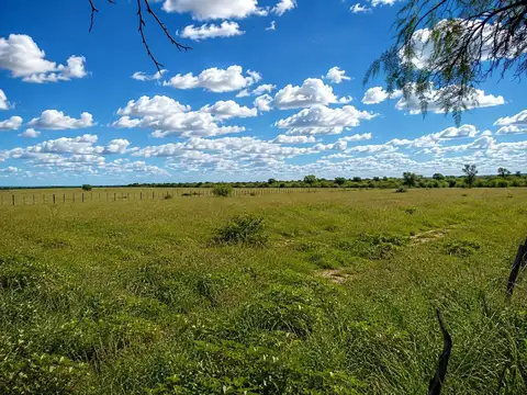 Campo en Venta en Serrezuela, Cruz del Eje