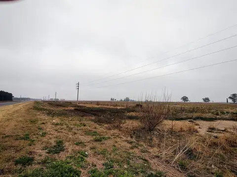 Campo en Venta en Piñero, Rosario