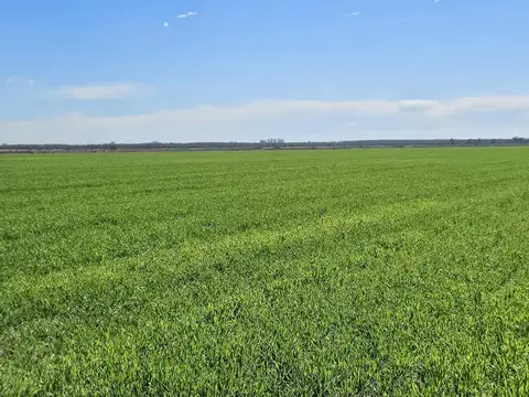 Campo en Venta en Piñero, Rosario