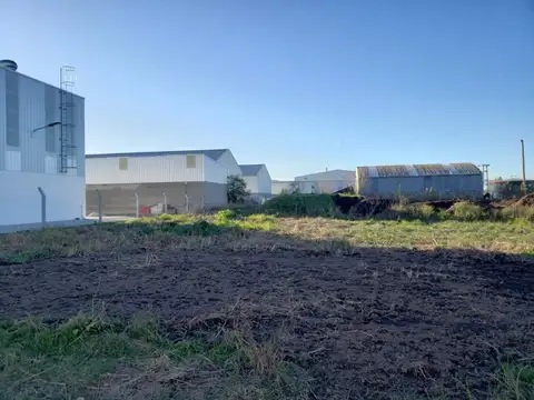 Terreno en Venta en Roldan, San Lorenzo