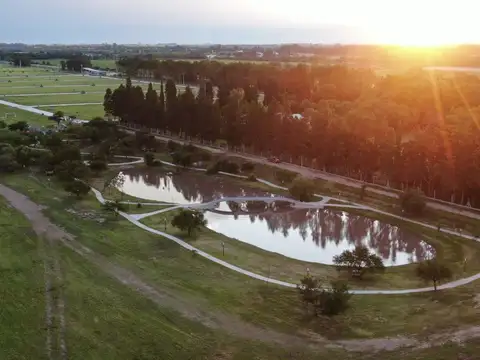 Terreno en Venta en Esperanza, Las Colonias