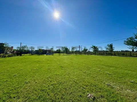Terreno en Venta en Ibarlucea, Rosario